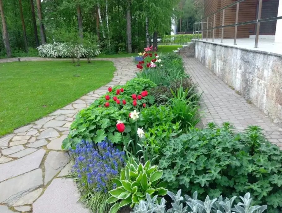 Клумбы миксбордеры вдоль дорожки