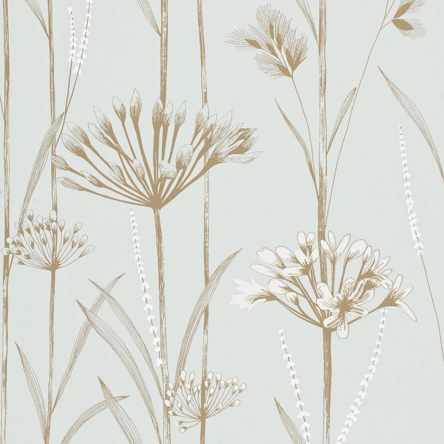 Фотообои одуванчик