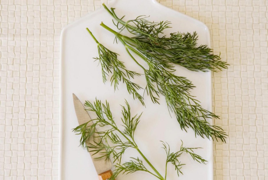 Обои Eco reflections