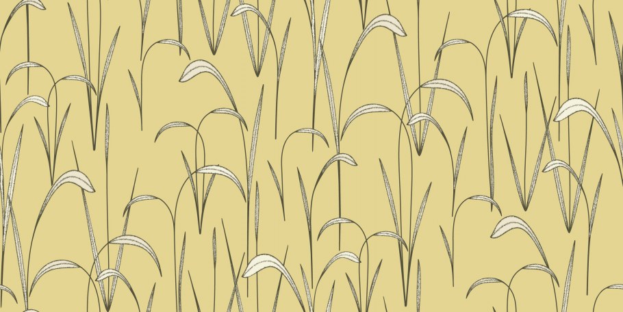 Бетон и мох в интерьере