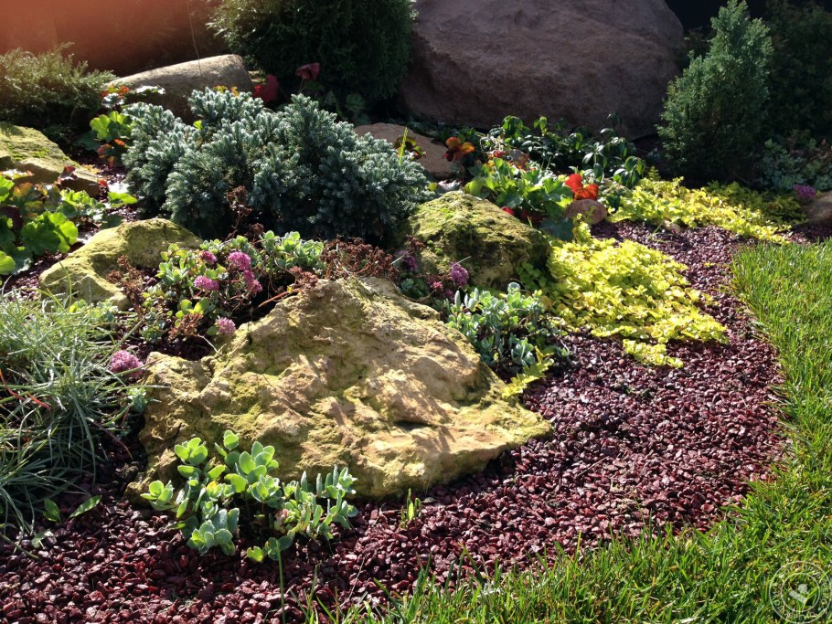 Альпийская горка верхний ярус