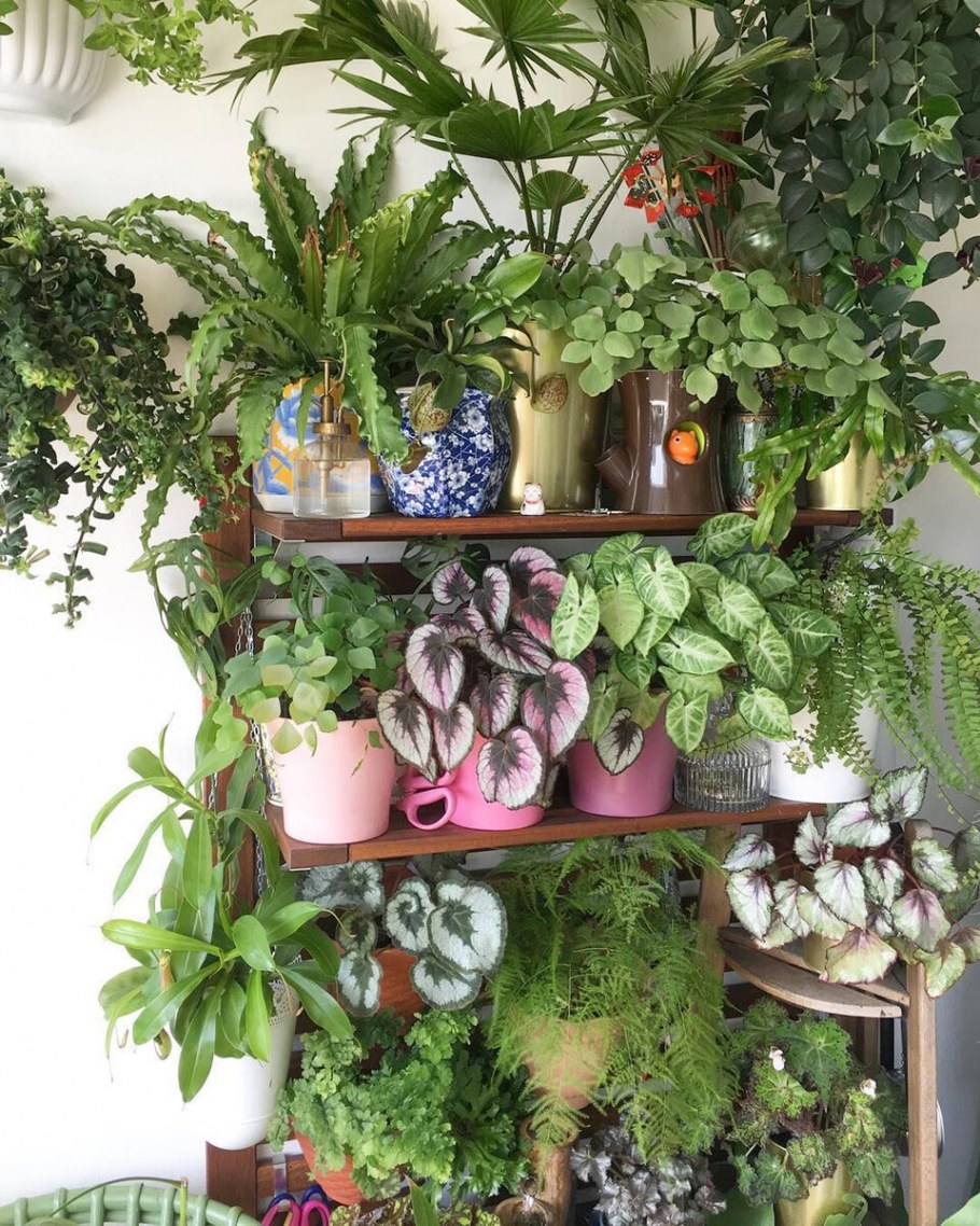 Цветочный уголок в квартире