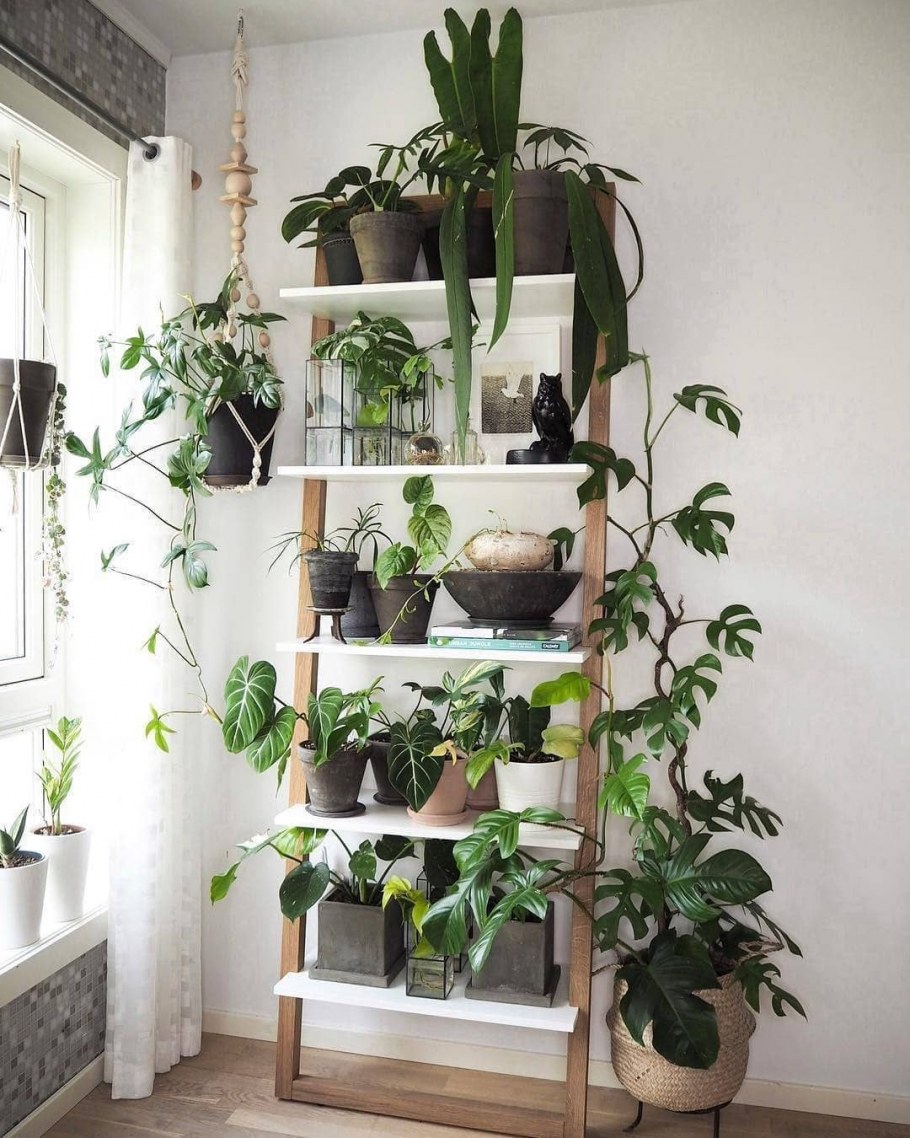 Организовать место для цветов в квартире