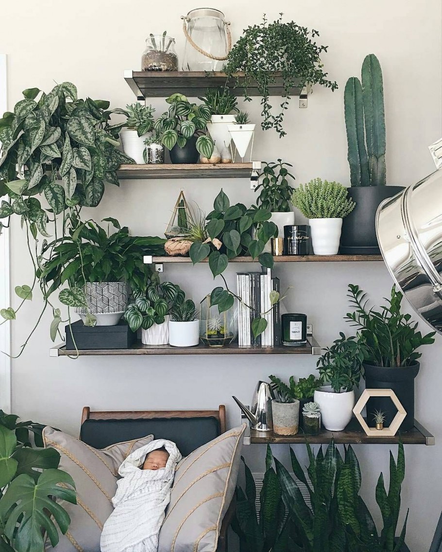 Живые цветы в интерьере квартиры