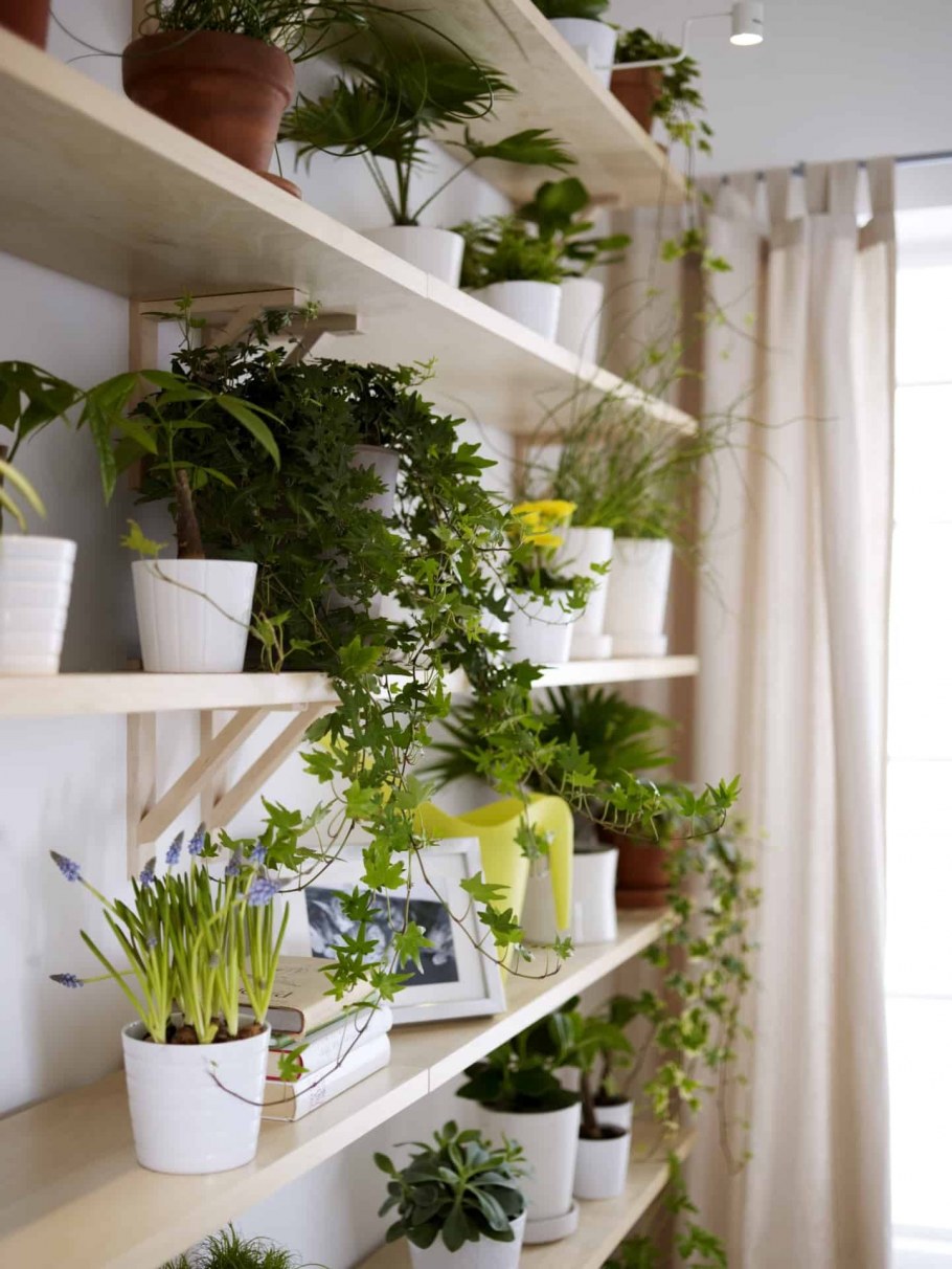 Стеллаж для растений