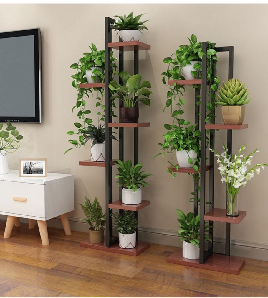 Комната с растениями