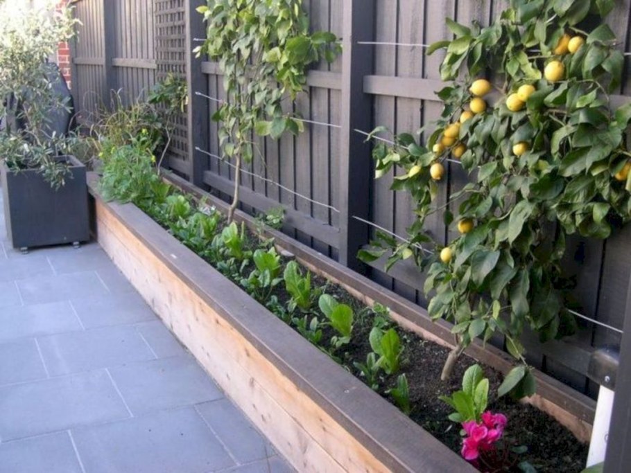 Ограждения для грядок и клумб