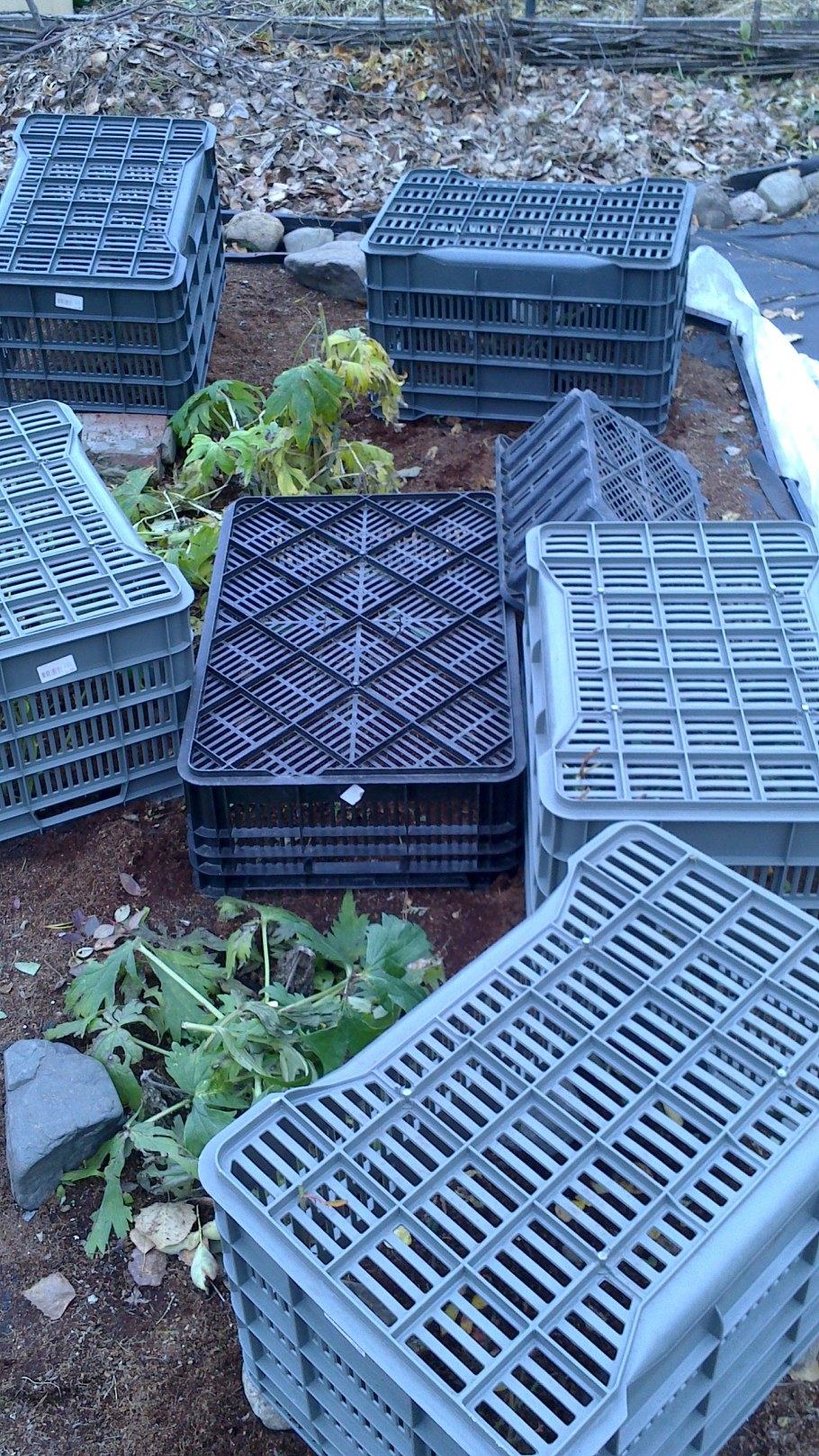 Пластиковые ограждения для клумб и грядок