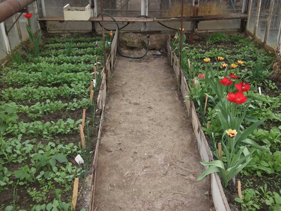 Ограждение для грядок