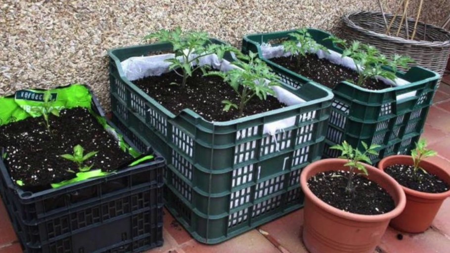 Клумбы из ящиков деревянных