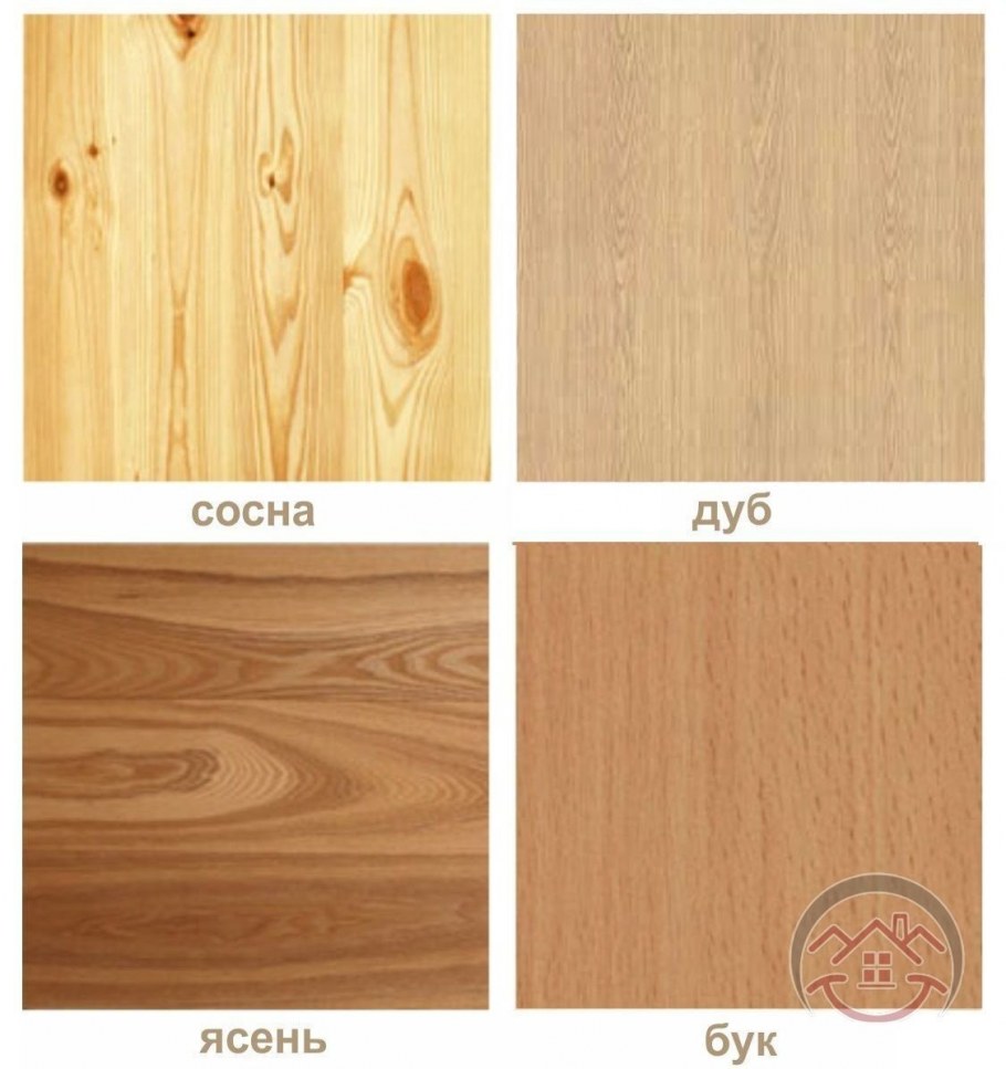 Ясень цвет древесины