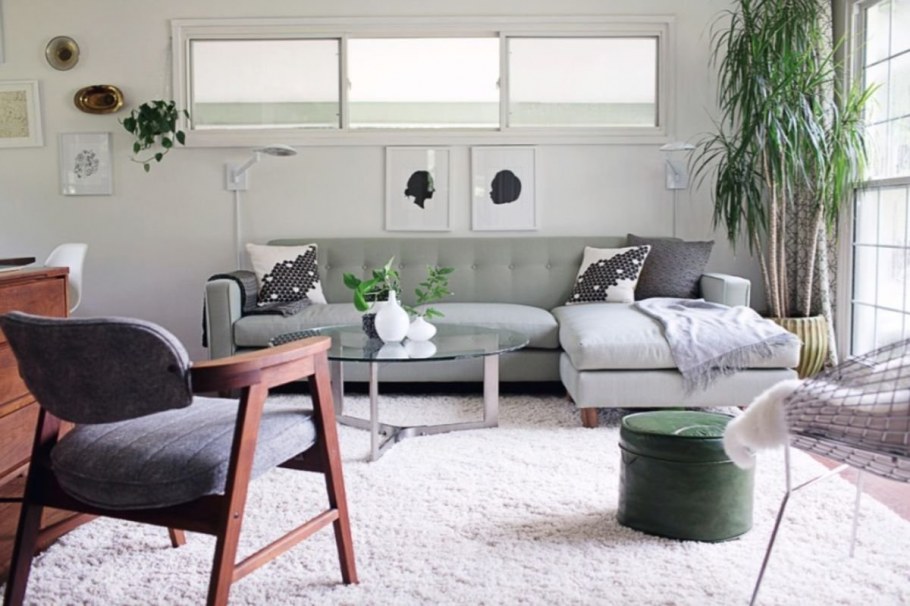 Цветовая палитра пантон шалфей