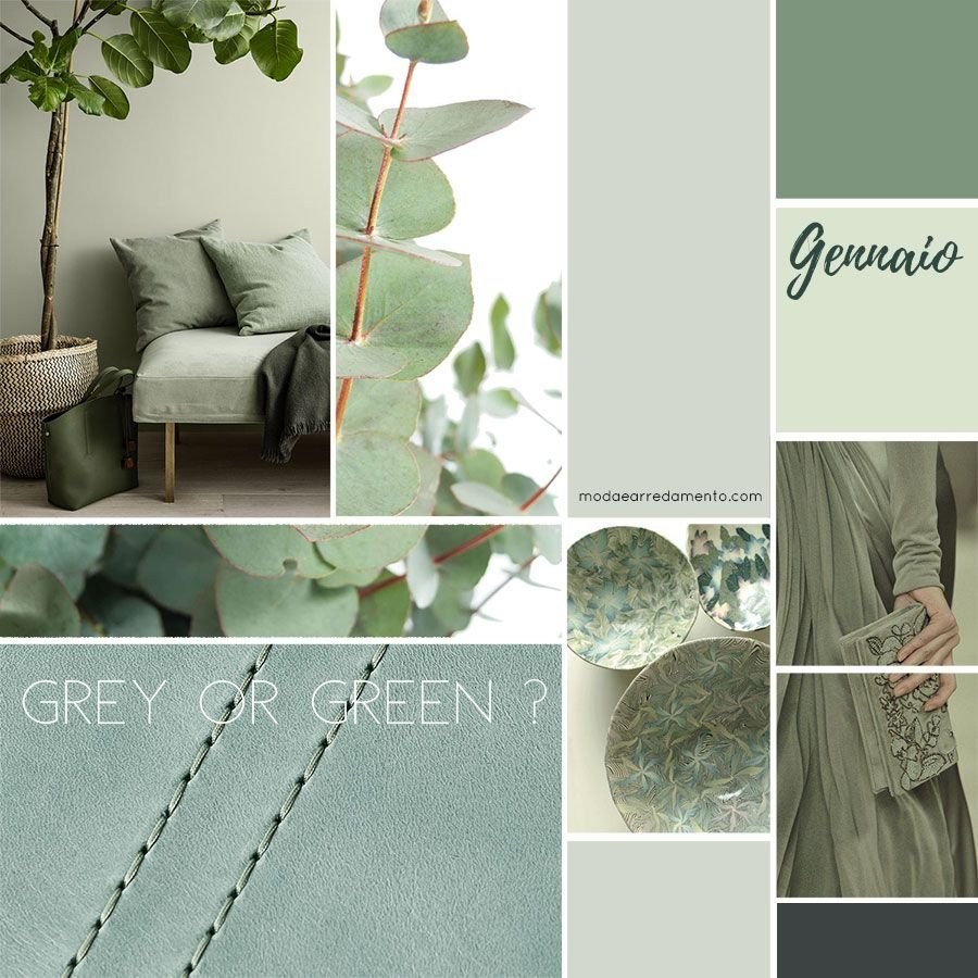 Цвет шалфей в интерьере