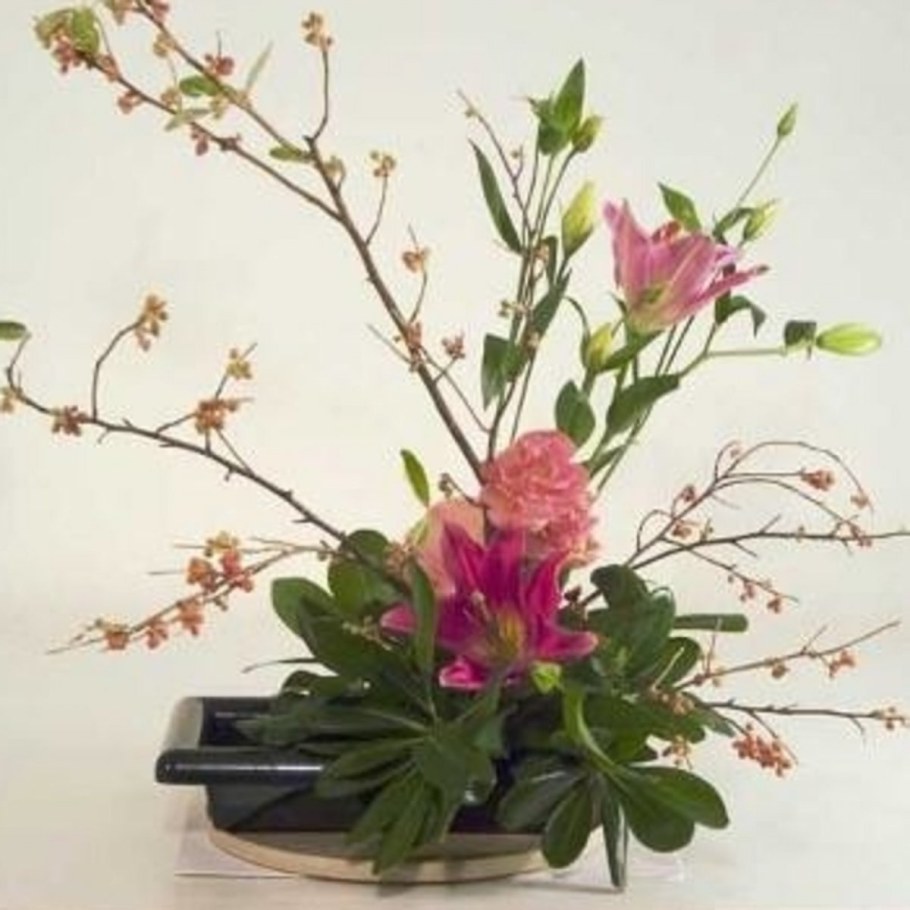 Икэнобо Сэнкэй