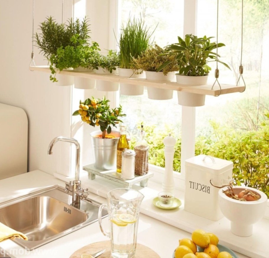 Живые цветы в интерьере кухни