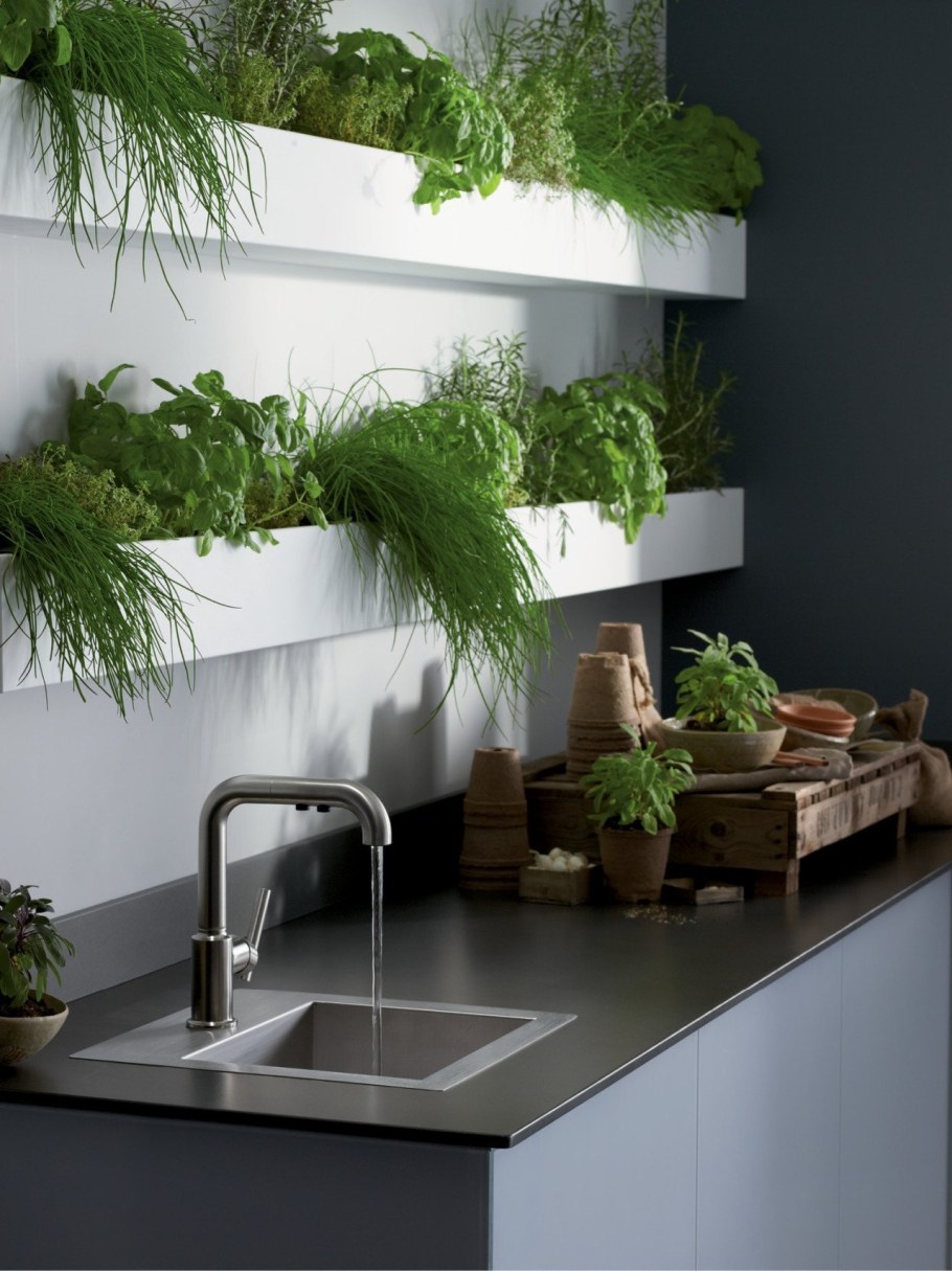 Зелень на кухне