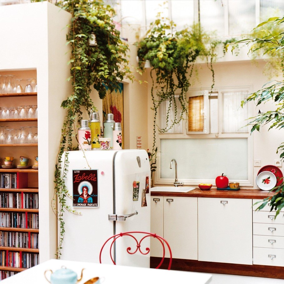 Комнатные растения в интерьере