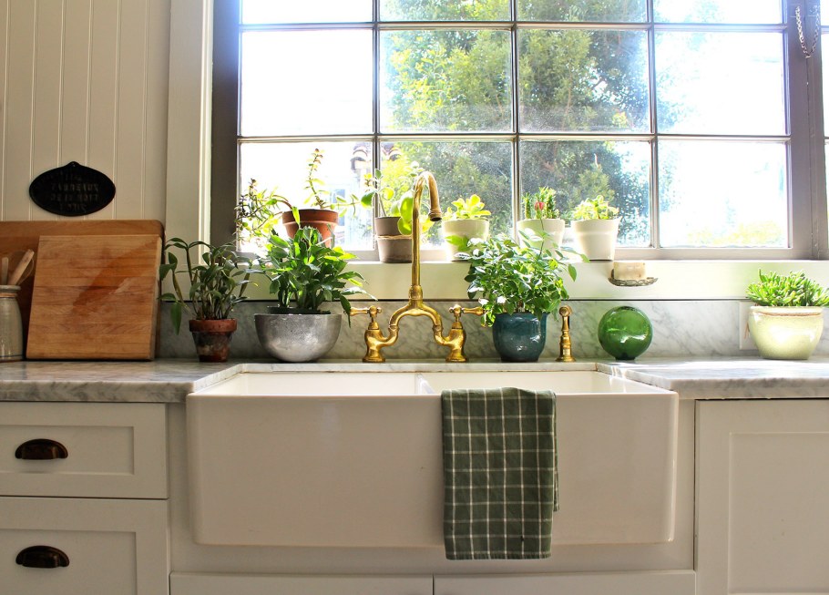 Цветы на кухне на подоконнике