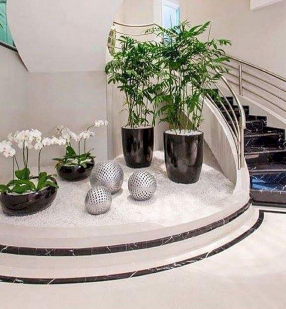 Фитодизайн в интерьере