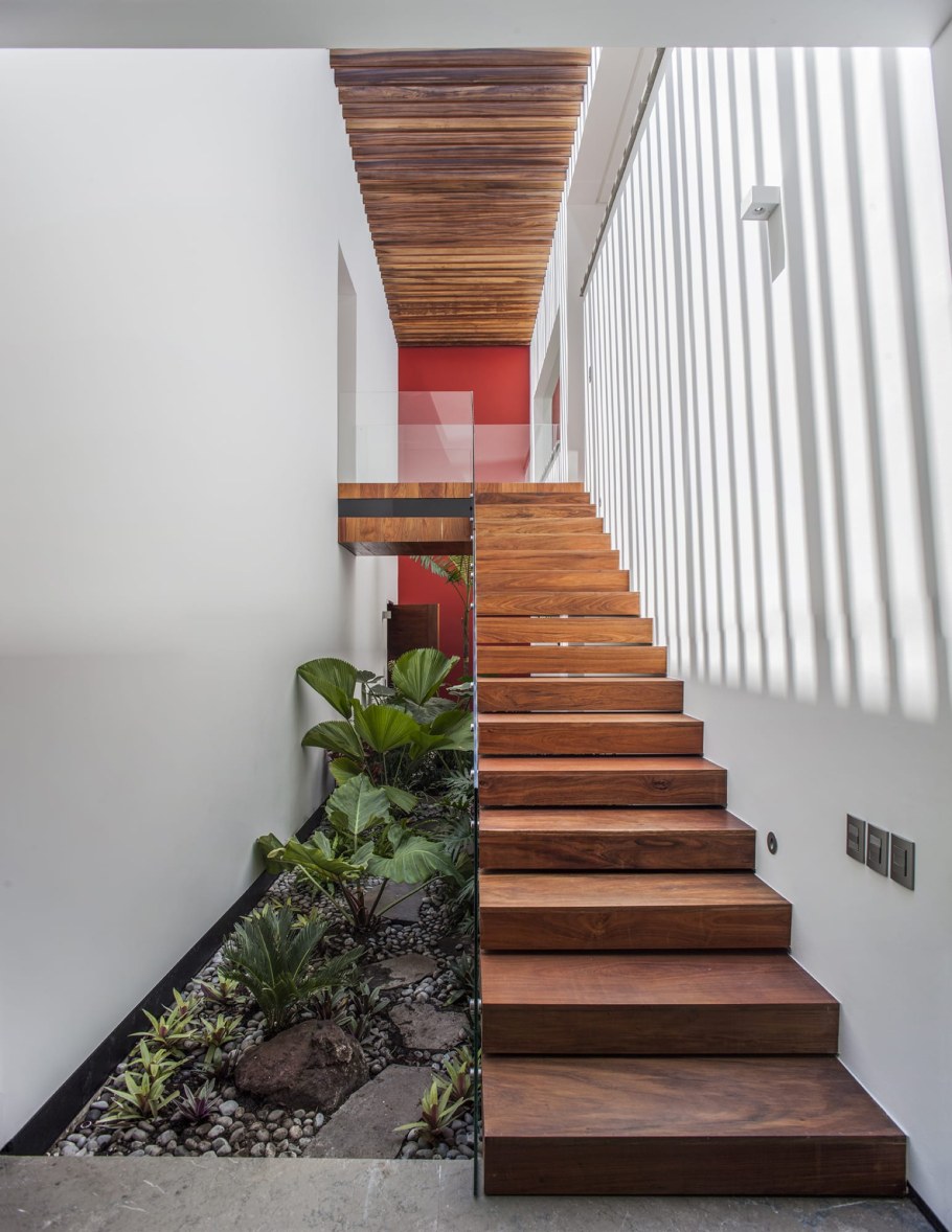 Растения под лестницей интерьер