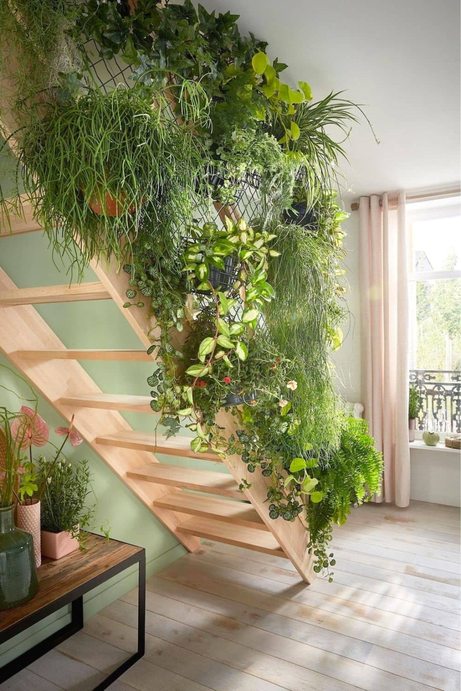 Растения в интерьере