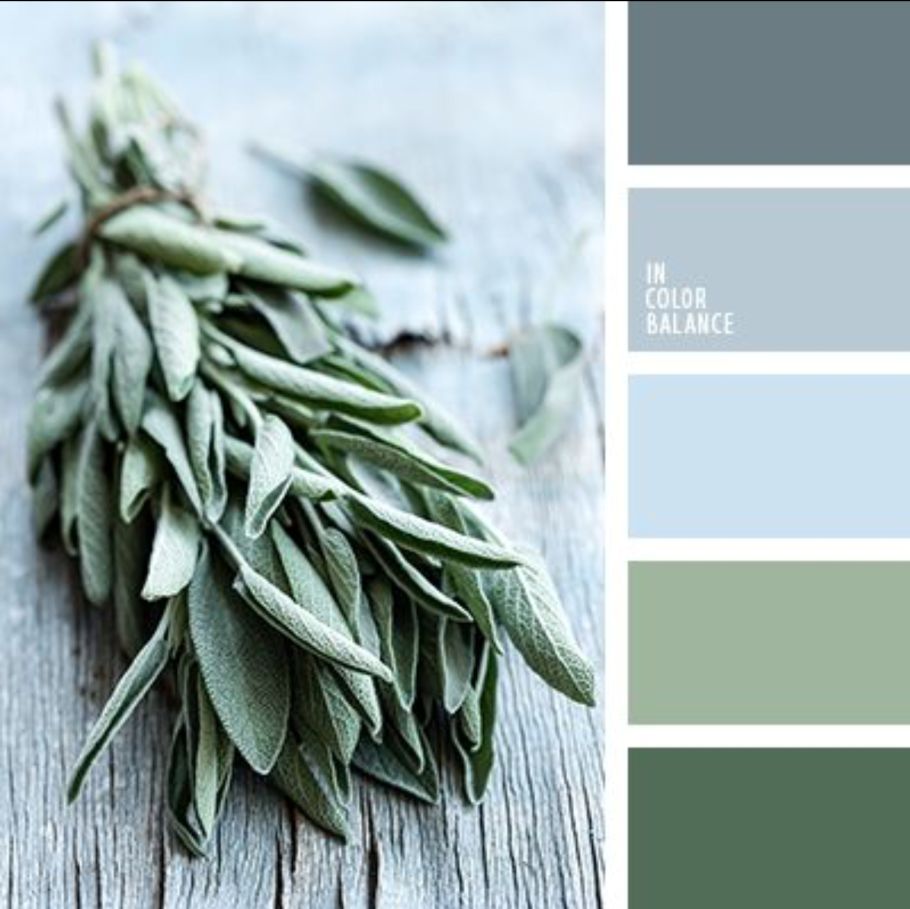 Палитра шалфей селадон олива